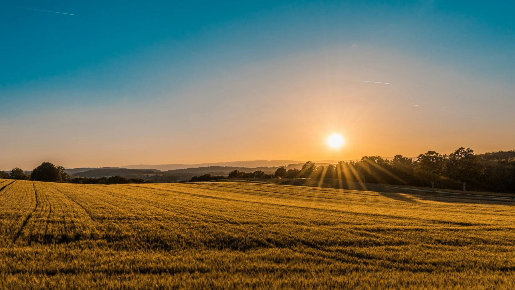 Golden hour view of Neilcammcrestviewmeadows greenway trail